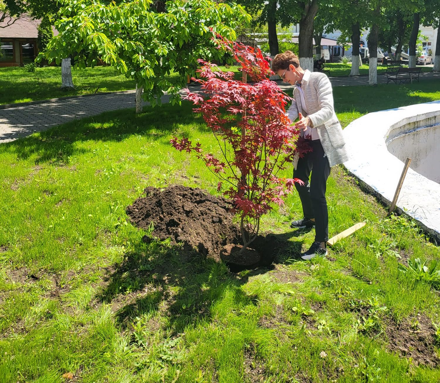 Inițiativa de a planta un copac continuă/ Alexandra Popa, medic ortoped, a plantat un copac în curtea Primăriei Caracal