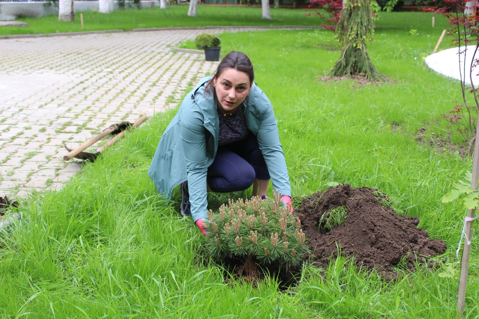 Blocul Operator de la Spitalul Caracal a răspuns provocării. Claudia Ion, asistent medical, a plantat un copac în curtea Primăriei Caracal