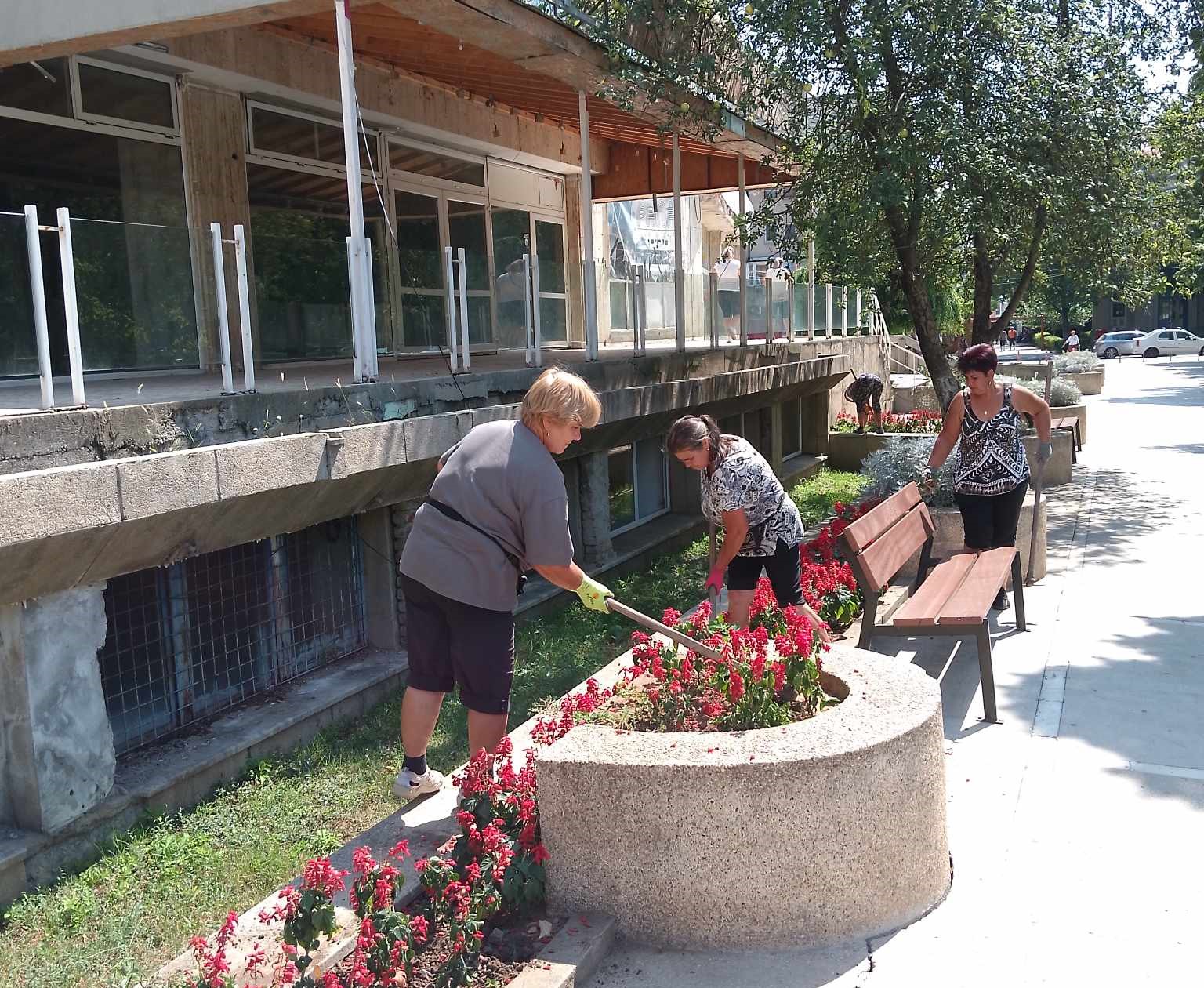 Smulsul ierbii și udatul florilor din zona zero a orașului, un demers de apreciat pentru angajații ADPP Caracal